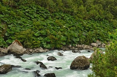 Parque Nacional Quelat, Chile