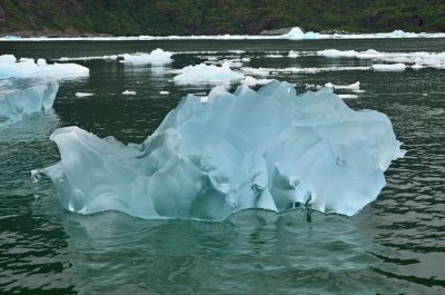 Laguna San Rafael, Chile