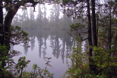 Alerce Mountain Lodge, Puerto Montt