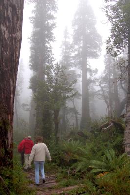 Alerce Mountain Lodge, Puerto Montt