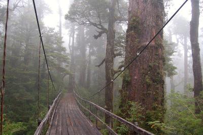 Alerce Mountain Lodge, Puerto Montt