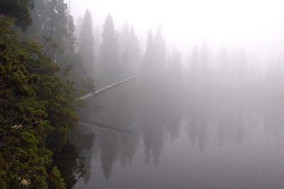 Alerce Mountain Lodge, Puerto Montt