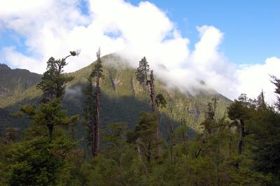 Alerce Mountain Lodge, Puerto Montt