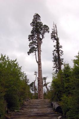 Alerce Mountain Lodge, Puerto Montt