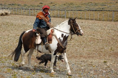 Gaucho Magallanico