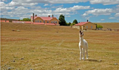 Estancia Penitente, Punta Arenas, Chile