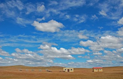 Estancia Penitente, Punta Arenas, Chile