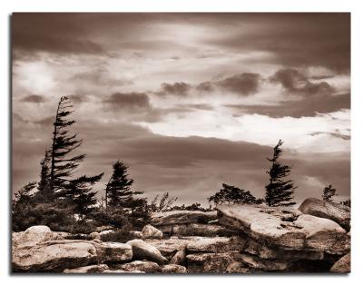 05.16.06 Bear Rocks, Dolly Sods