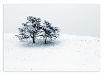 05.31.06 Bradfield Hill in Snow