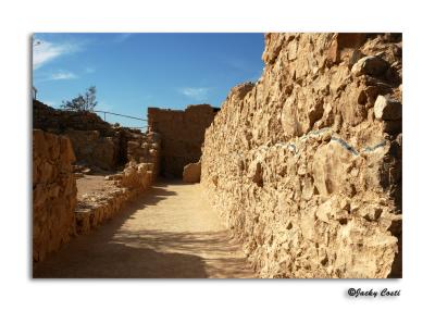 Masada's archeological finds