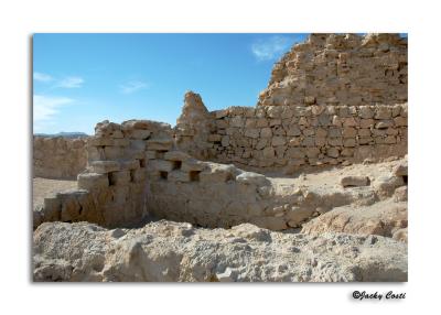 Masadas archeological finds