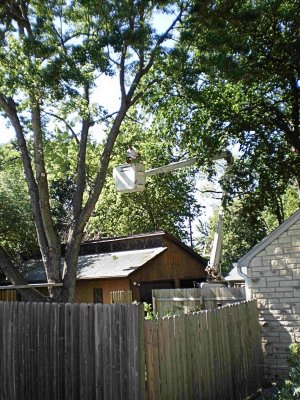P4180012_a.jpg