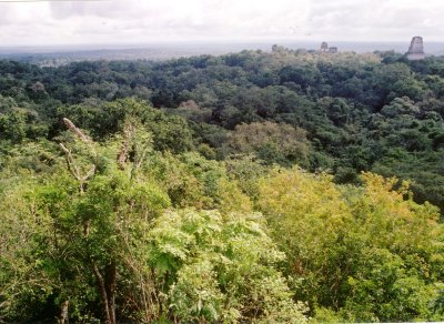 Lost City of Tikal.jpg
