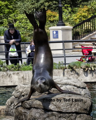 Prospect Park Zoo_03.jpg