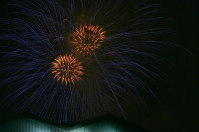 fireworks_111.JPG