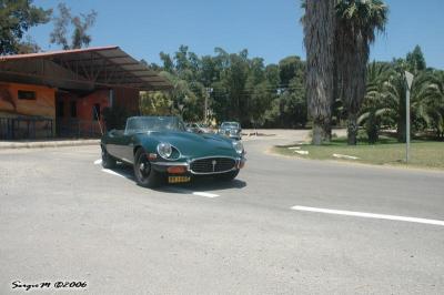 DSC_4520.JPG