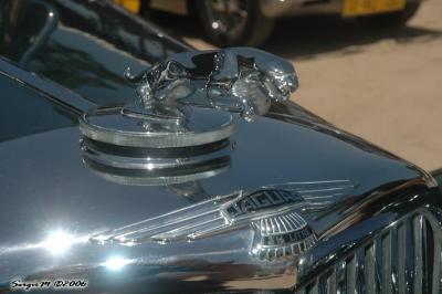 DSC_4552.JPG
