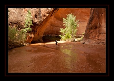 65 - Heading Down Coyote Gulch.jpg