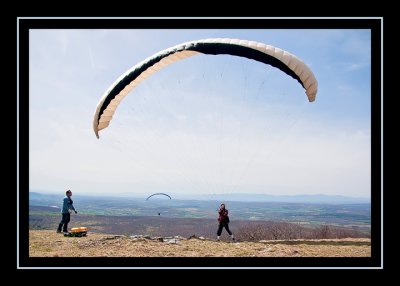 One of several paragliders on Brace Mountain