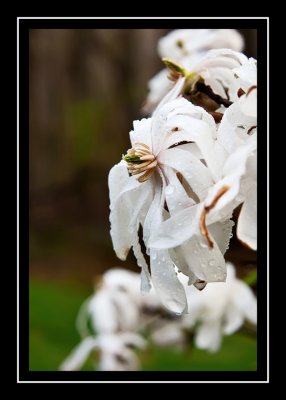 Signs of spring!