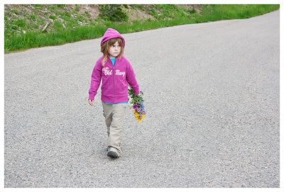 Norah on a mission for wildflowers