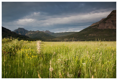 Lamar Valley