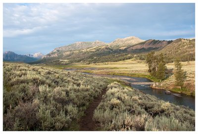 The Lamar River and Valley