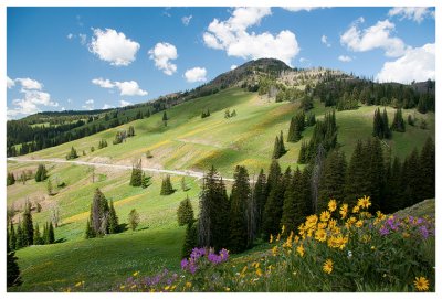 View from the trail