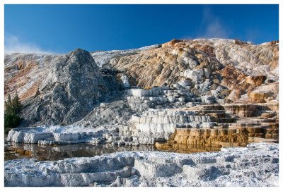 Lower terraces at Mammoth Springs