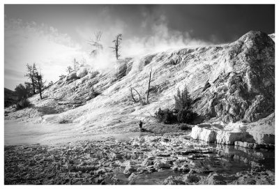 Lower terraces at Mammoth Springs