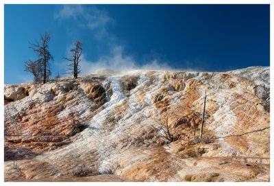 Lower terraces at Mammoth Springs