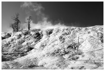 Lower terraces at Mammoth Springs