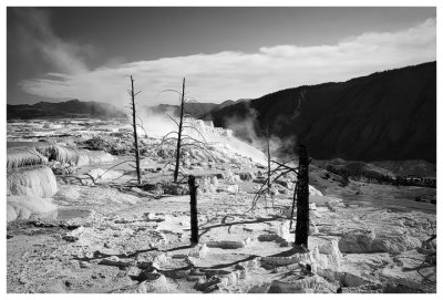 Main terrace at Mammoth Springs