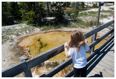 A spring at West Thumb  Geyser Basin