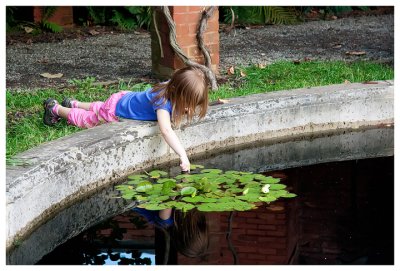 Checking out the lily pads