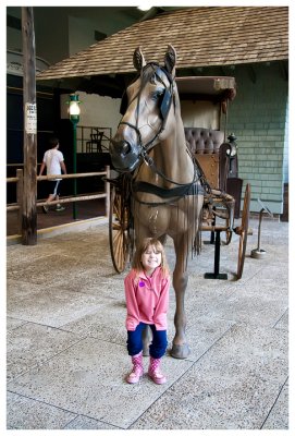 Norah and another horse