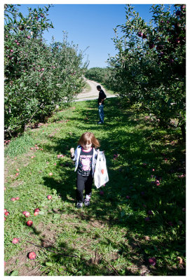 A visit to Hurd's farm for apple picking