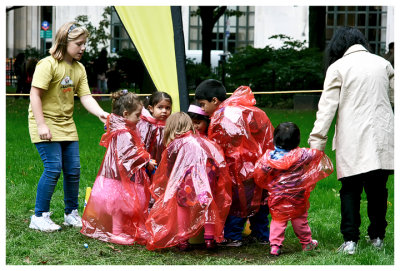 Sponge race competitors