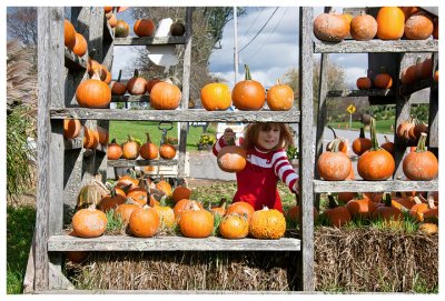 Norah in the pumpkin shelves