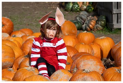 Olivia in the pumpkin patch