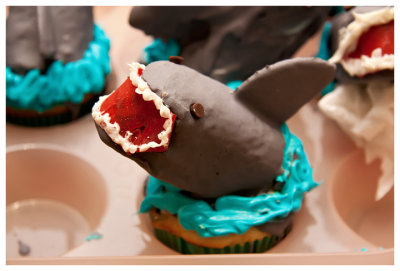 Shark attack!