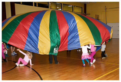 Parachute mushroom