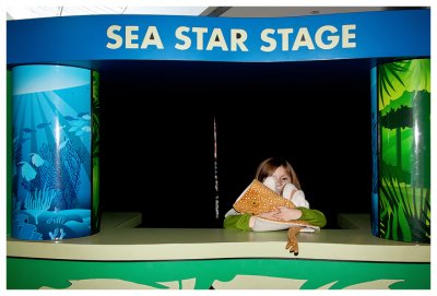 Puppets at the Sea Star Stage