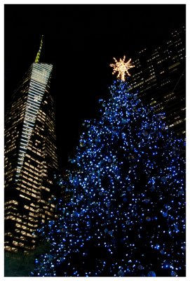 The beautiful tree in Bryant Park