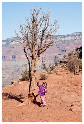 Norah finds a tree she likes