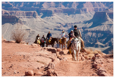 Mule train on the South Kaibab trail