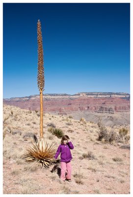 Norah with a particularly tall yucca plant