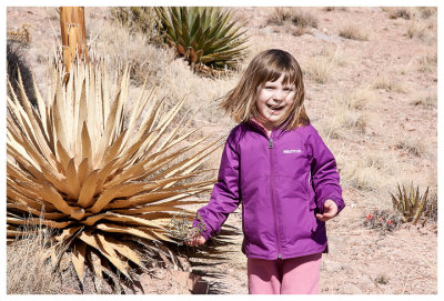 Norah loves the yucca plants!