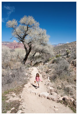 Norah on the Bright Angel Trail near Indian Garden