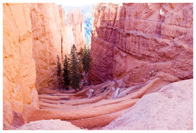 A look down at the Navajo Trail